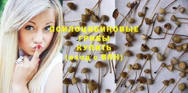 тгк Краснотурьинск