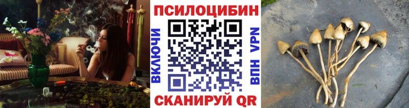 Галлюциногенные грибы мицелий Щёлково