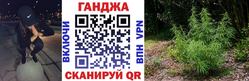 купить наркотики сайты  Щёлково  Каннабис Ganja 